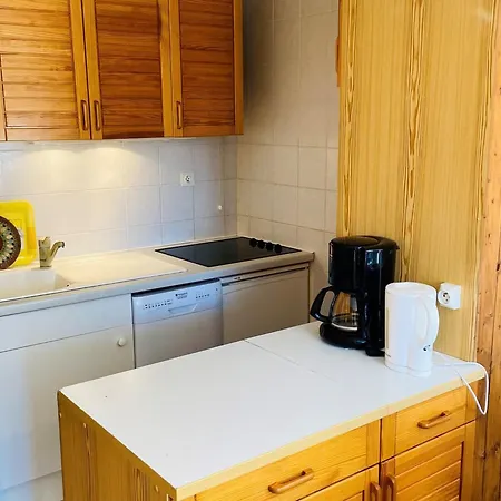 T2 Au Pied Des Pistes Avec Balcon Expose Sud, Ideal Pour 6 Personnes, Proche Commerces! - Fr-1-516-8 Les Deux Alpes
