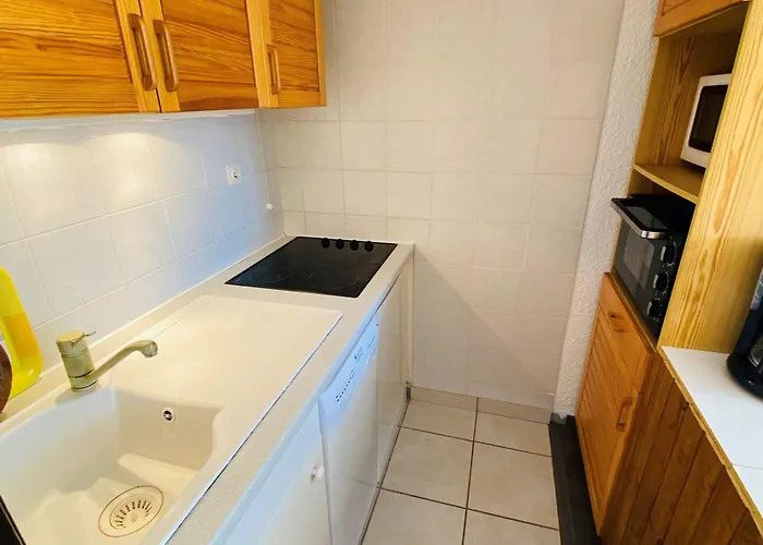 Bel Au Pied Des Pistes, 6 Pers. - Fr-1-516-8 Apartment Les Deux Alpes