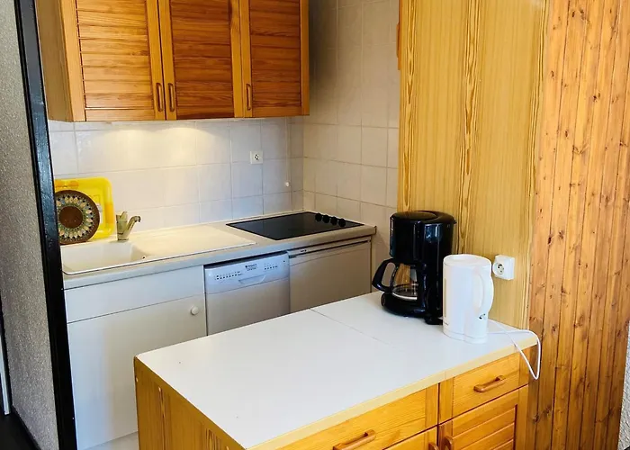 Bel Au Pied Des Pistes, 6 Pers. - Fr-1-516-8 Les Deux Alpes